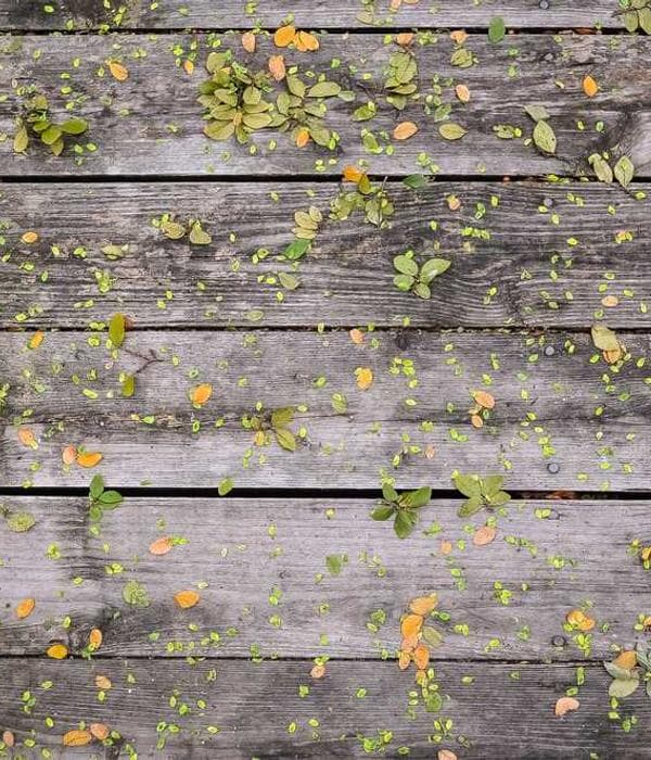 Ahlan Ethio Travel Office